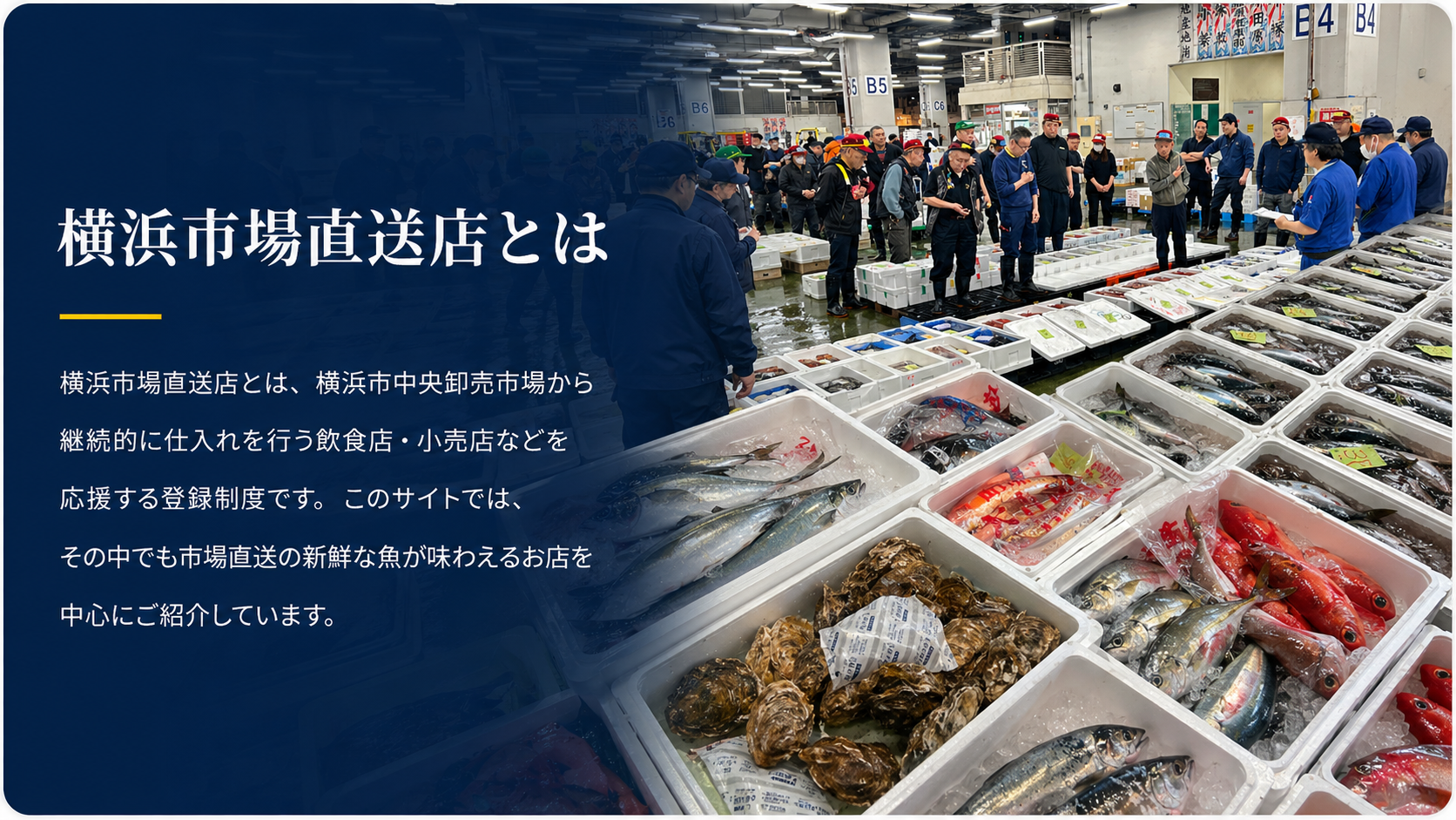 横浜市場直送店とは 横浜市中央卸売市場からお店へ