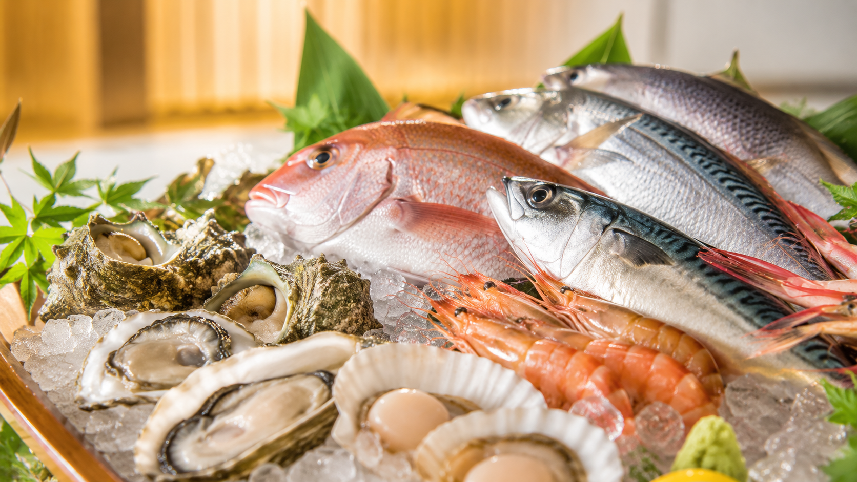 海鮮料理のお店をイメージした、新鮮な魚介の盛り合わせ
