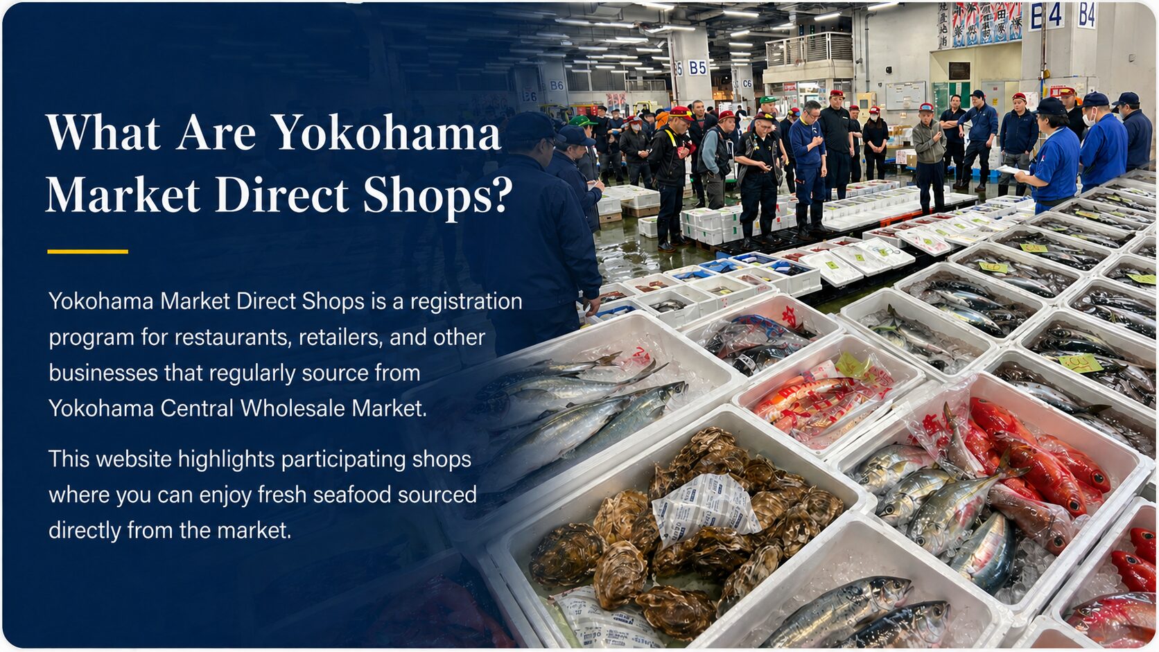 What Are Yokohama Market Direct Shops?