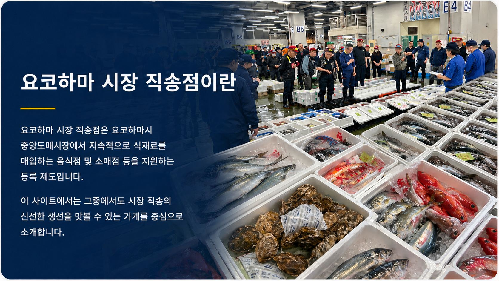 요코하마 시장 직송 매장이란