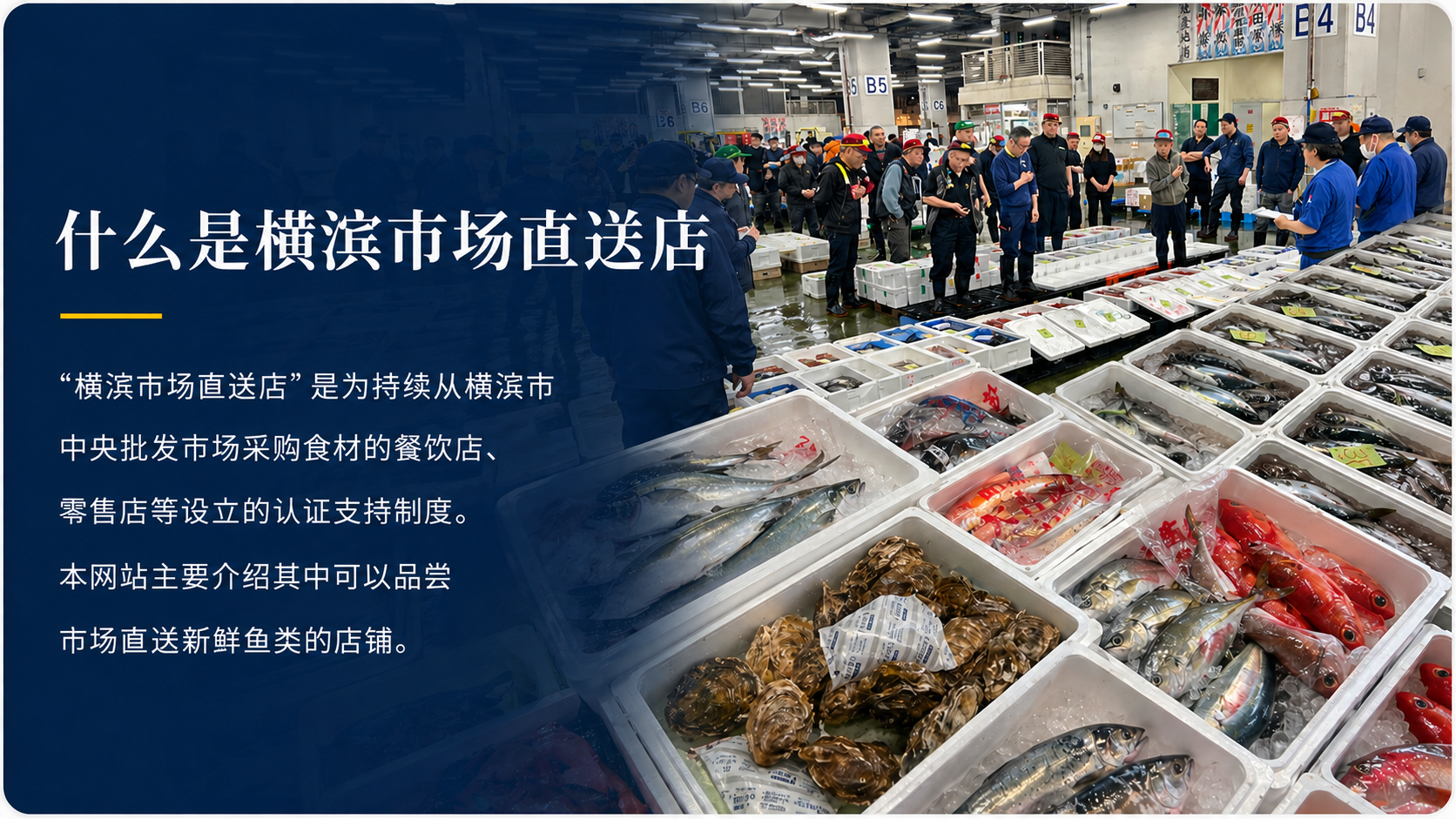 什么是横滨市场直送店